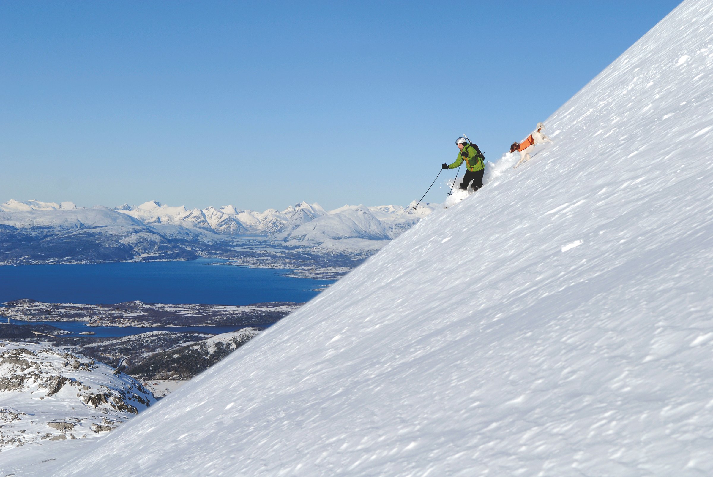 Skikjører og hund i sydvestflanken på Per Kalsatinden i Børvasstindan, med utsikt over Bodø og fjellene rundt